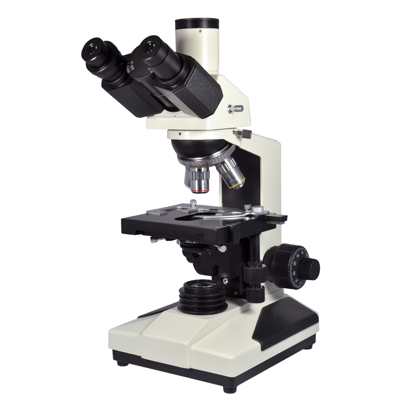 Microscope PARALUX L1100 S2 TRINO 1600X. 60-6147-9
