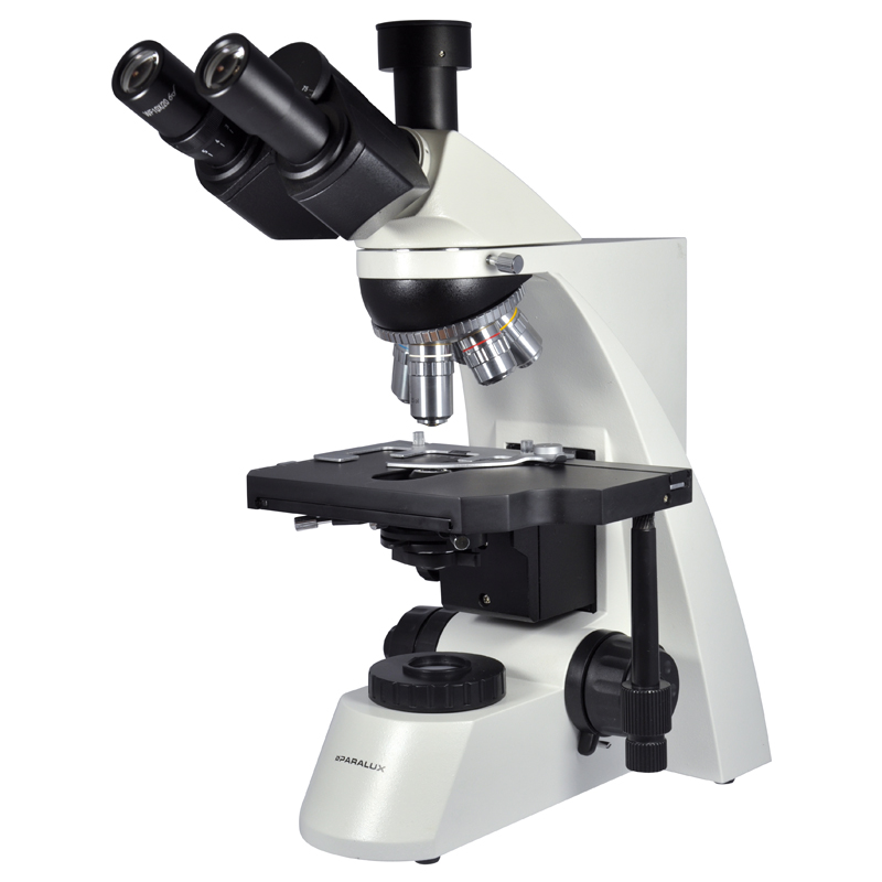 Microscope PARALUX L3000 TRINO PLAN 1000X. 60-6173-9